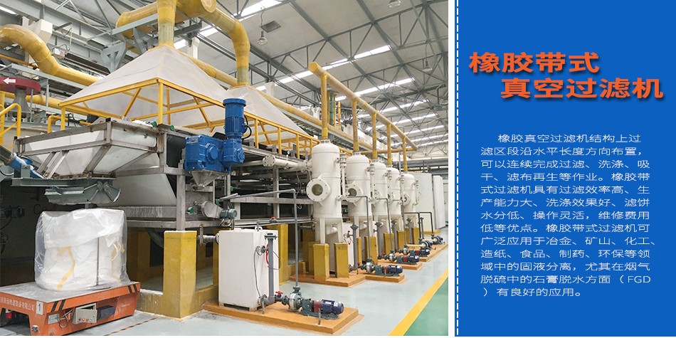 1644981684573857.jpg 橡膠帶式.jpg