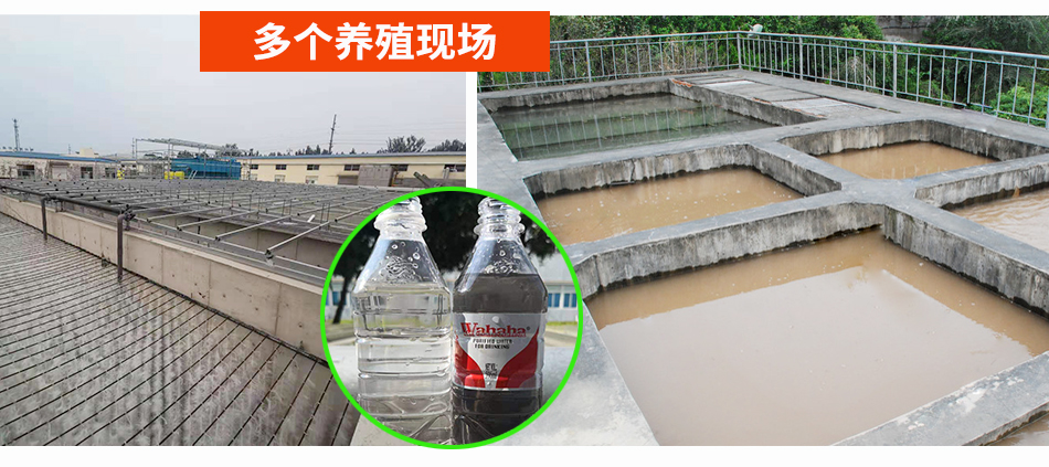 1650358056172075.jpg 養殖.jpg