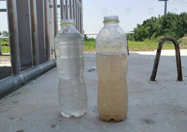 1658282288305031.jpg 100.jpg